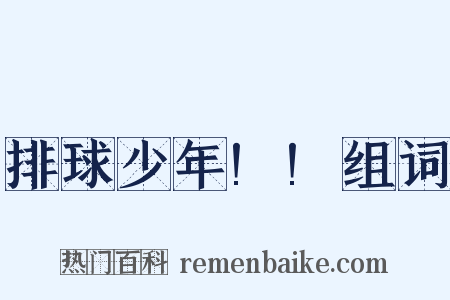 排球少年!!组词是什么意思的图片
